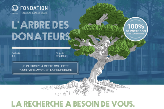 L'arbre des donateurs de la fondation Toulouse cancer santé